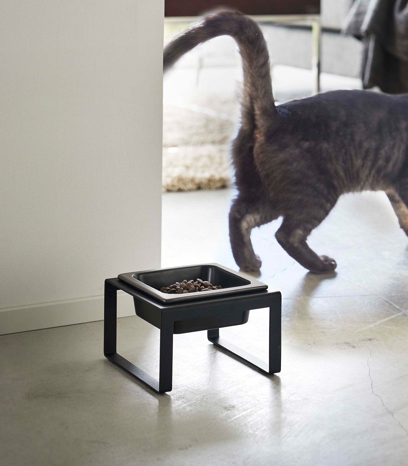 Single Pet Food Bowl - Two Styles - Steel + Ceramic