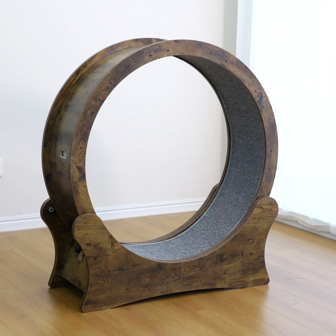 Cat Exercise Wheel Modern Design