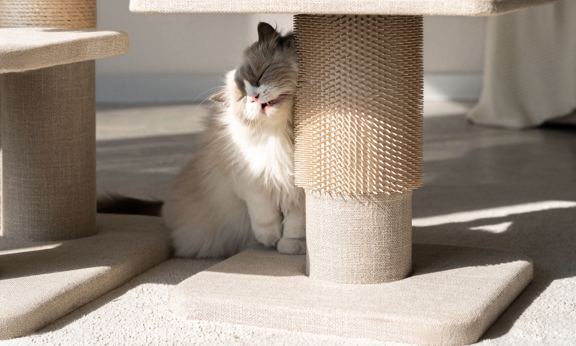 Large cat tree with grooming post