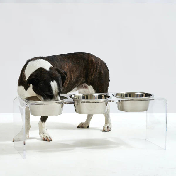 Three bowl elevated dog feeder with acrylic stand and lead-free stainless steel bowls