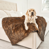 Large Labrador on a dog blanket to protect your furniture or bed