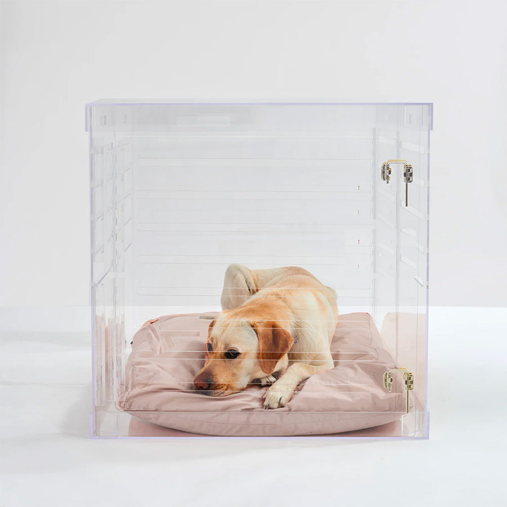 Golden retriever inside stylish large size dog crate