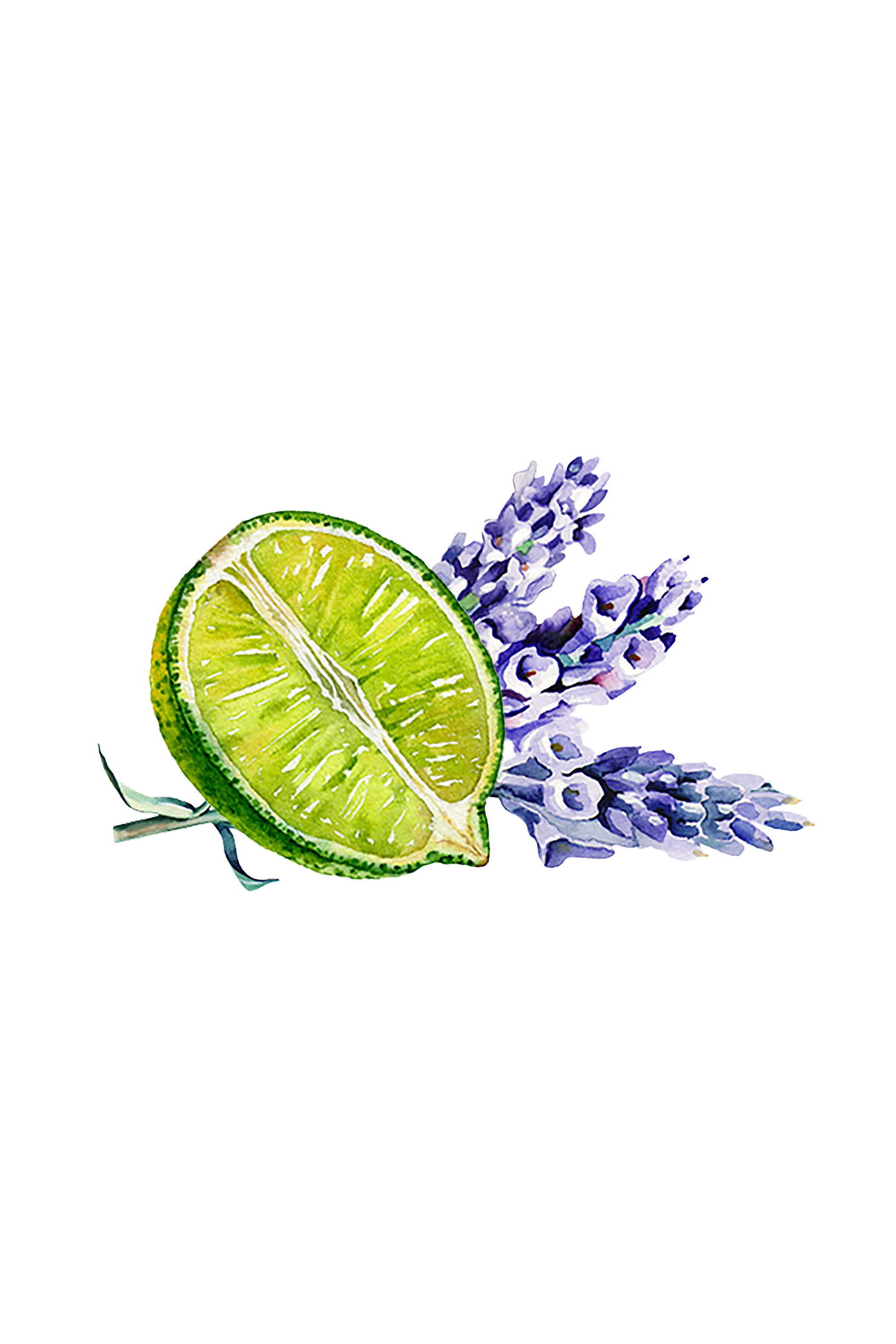 Lavender & Lime Essential Oil Blend