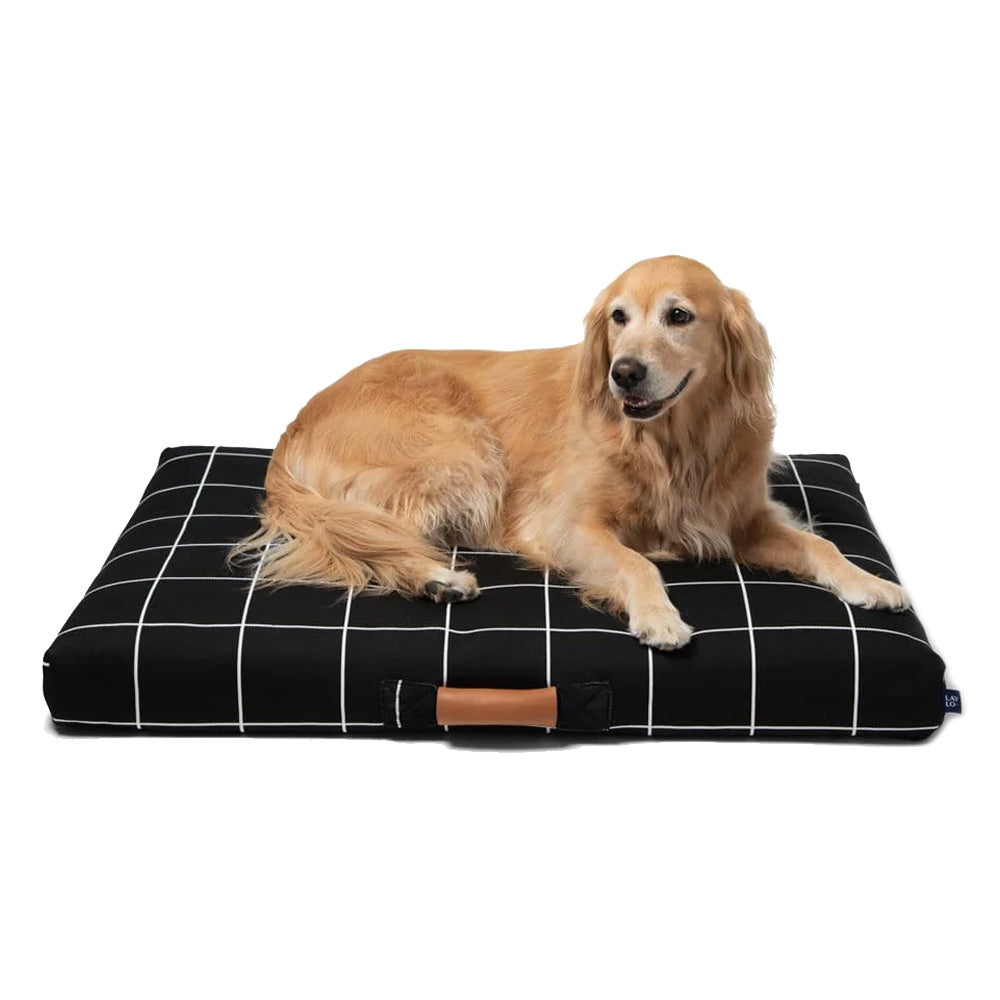 Golden retriever lying on a black checkered Laylo designer dog bed with a white background