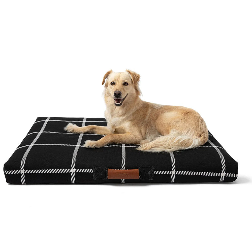 Large do lying on a black and white checkered Lay Lo luxury pet bed 