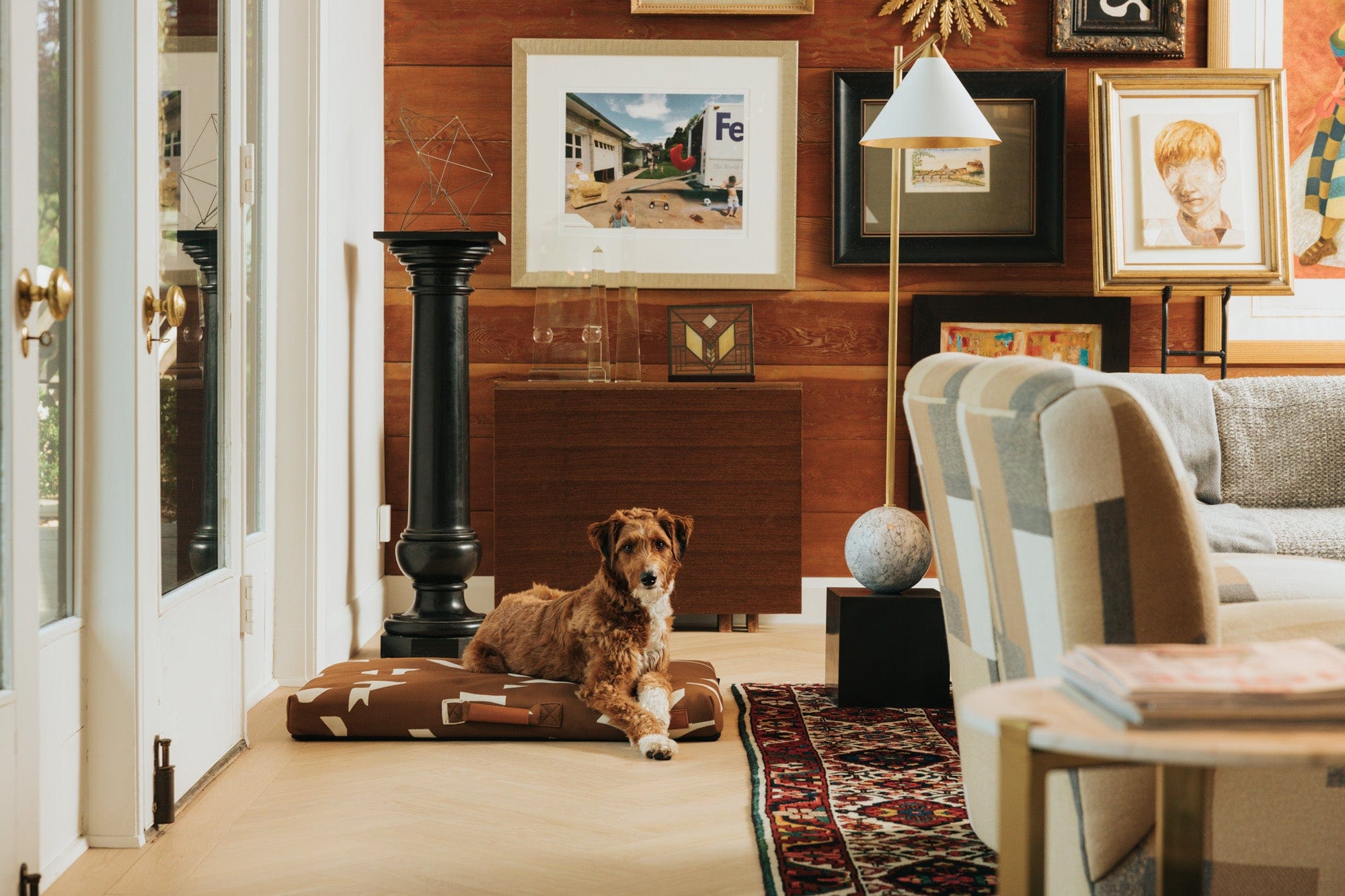 John Legend | Brown Fragment Dog Bed or Bed Cover
