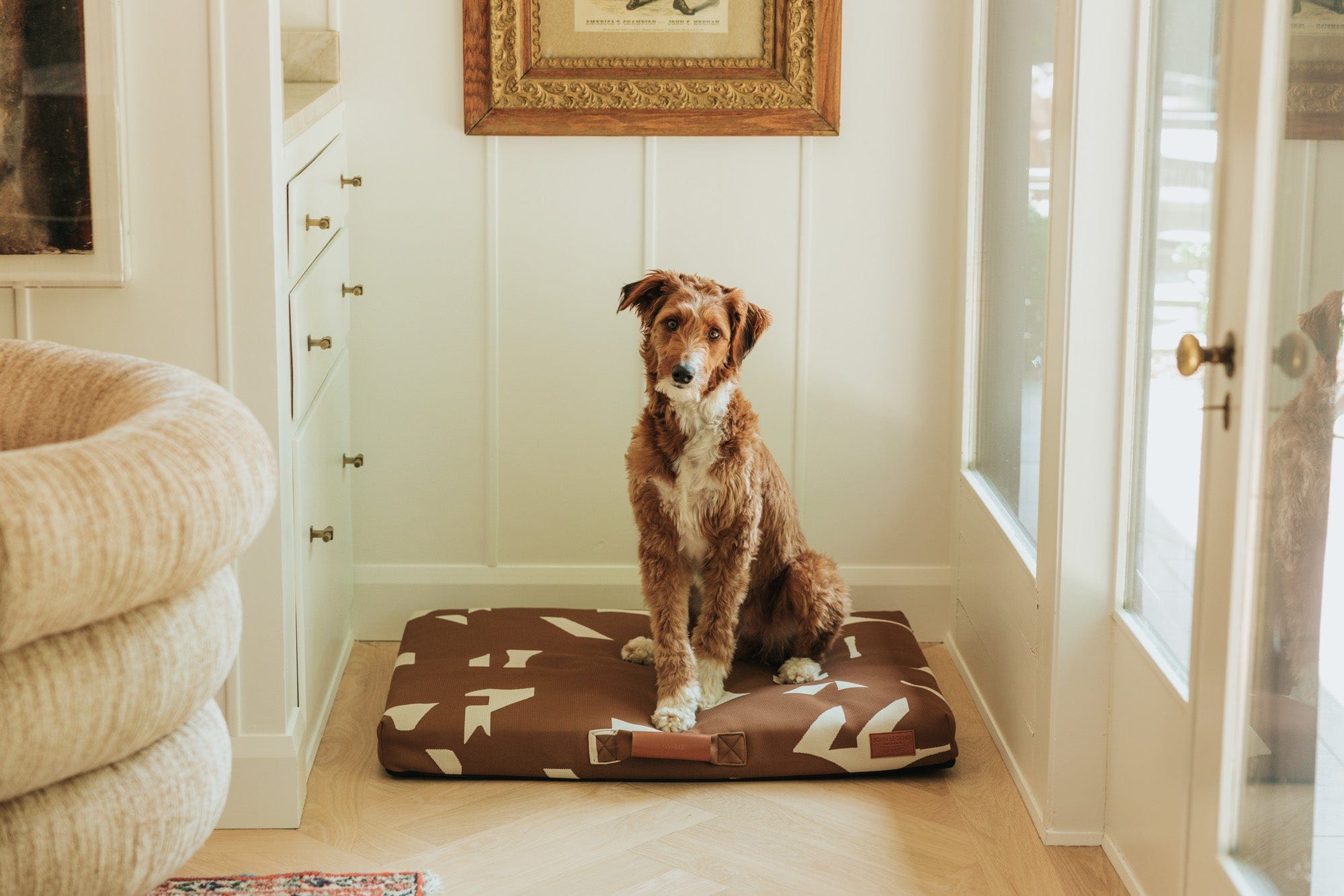 John Legend | Brown Fragment Dog Bed or Bed Cover