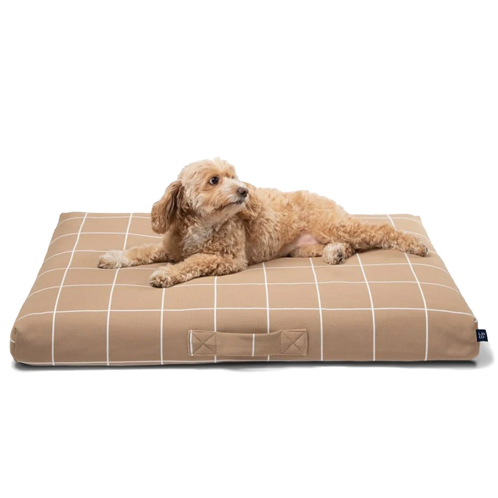 medium size poodle dog lying on a beige checkered Laylo pet bed with a white background