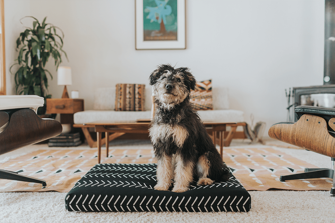 Black Chevron | Boho Dog Bed With Removable Cover