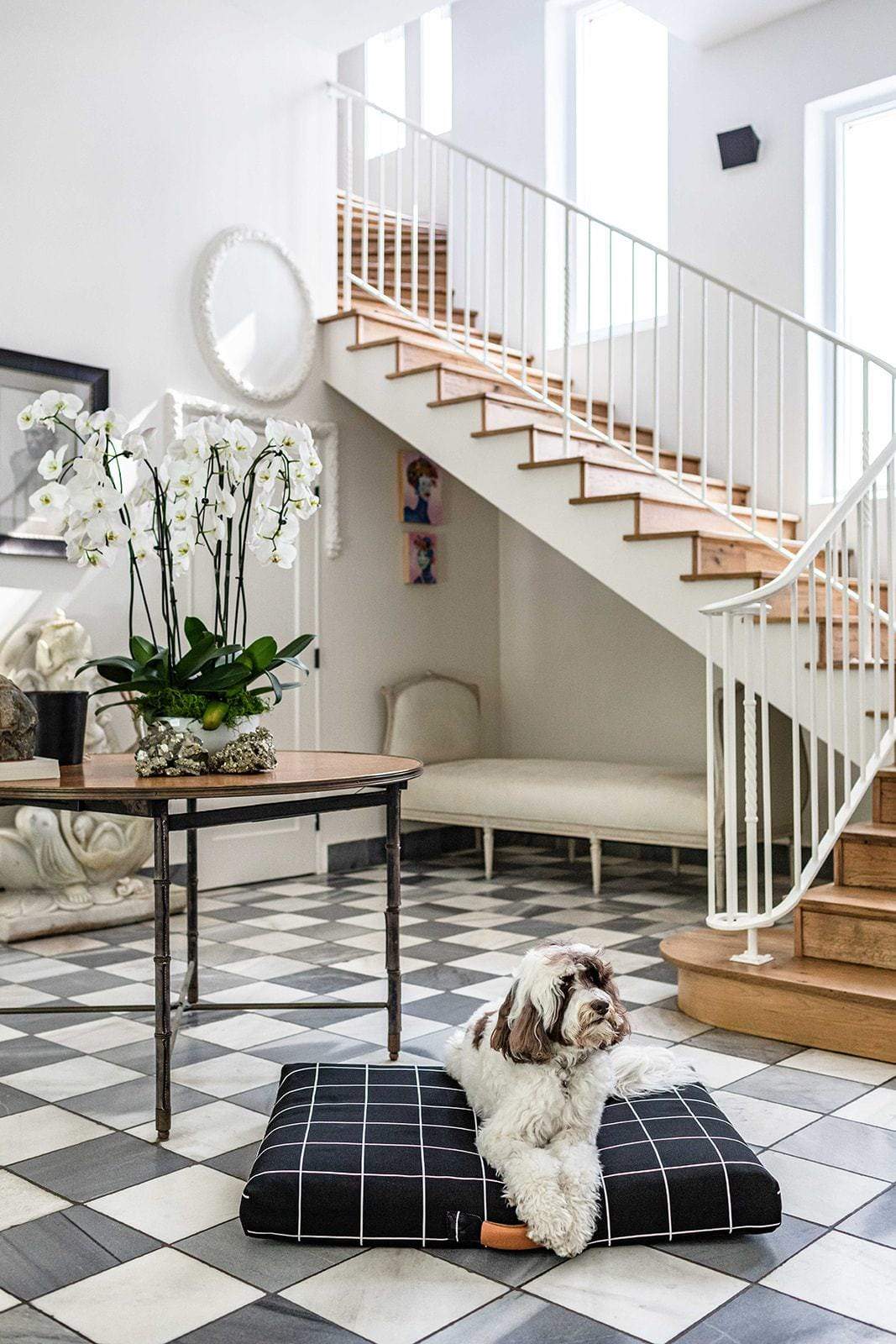 Cute dog  on a black and white checkered designer dog bed by Laylo with a staircase and decorative elements in the background in an expensive home