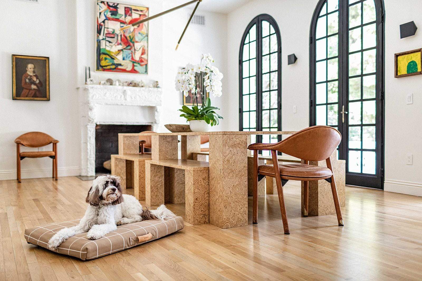 Cute on a Laylo cushion designer dog bed  in a stylish living room with a fireplace and large windows.