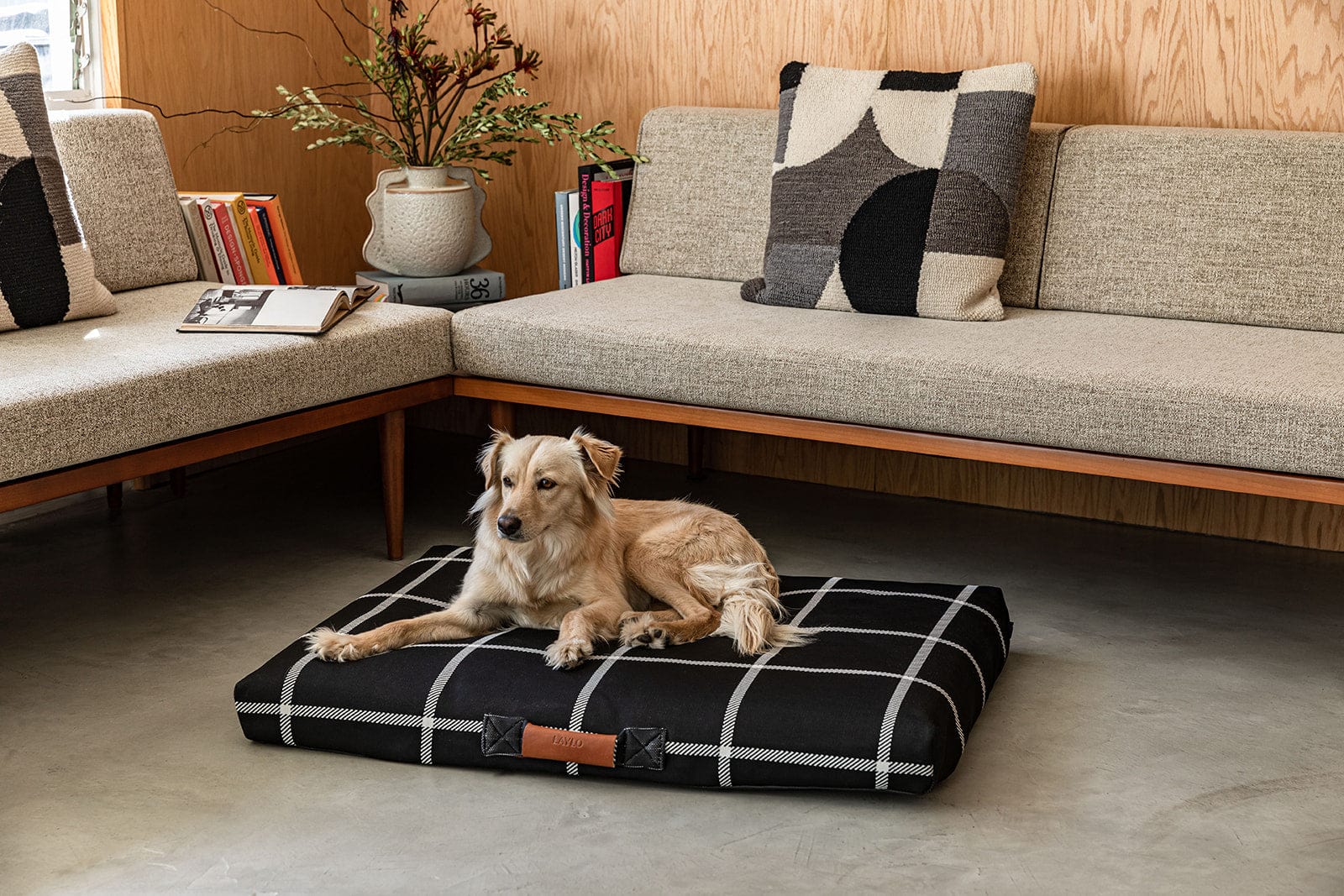 Dog lying on a black and white checkered dog bed by Lay Lo in a designer living room.