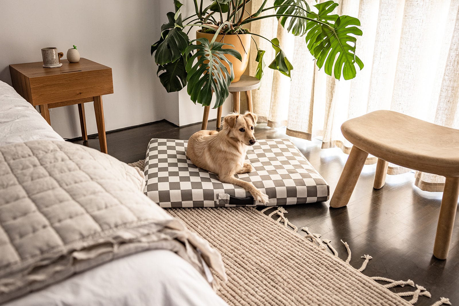 Retriever dog  lying on a Lay Lo Pets checkered pet bed in a cozy room with a plant and wooden furniture.