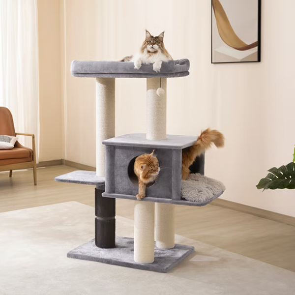Large cat tree with multiple levels and platforms in a room with Maine Coon cats