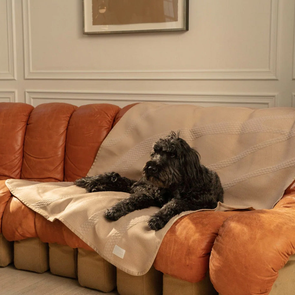 Brigette Romanek | Luxury Pet Throw Blanket - Taupe