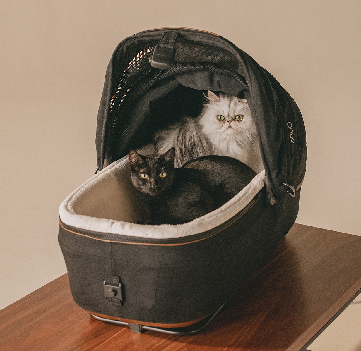 #Choose Your Color_Onyx