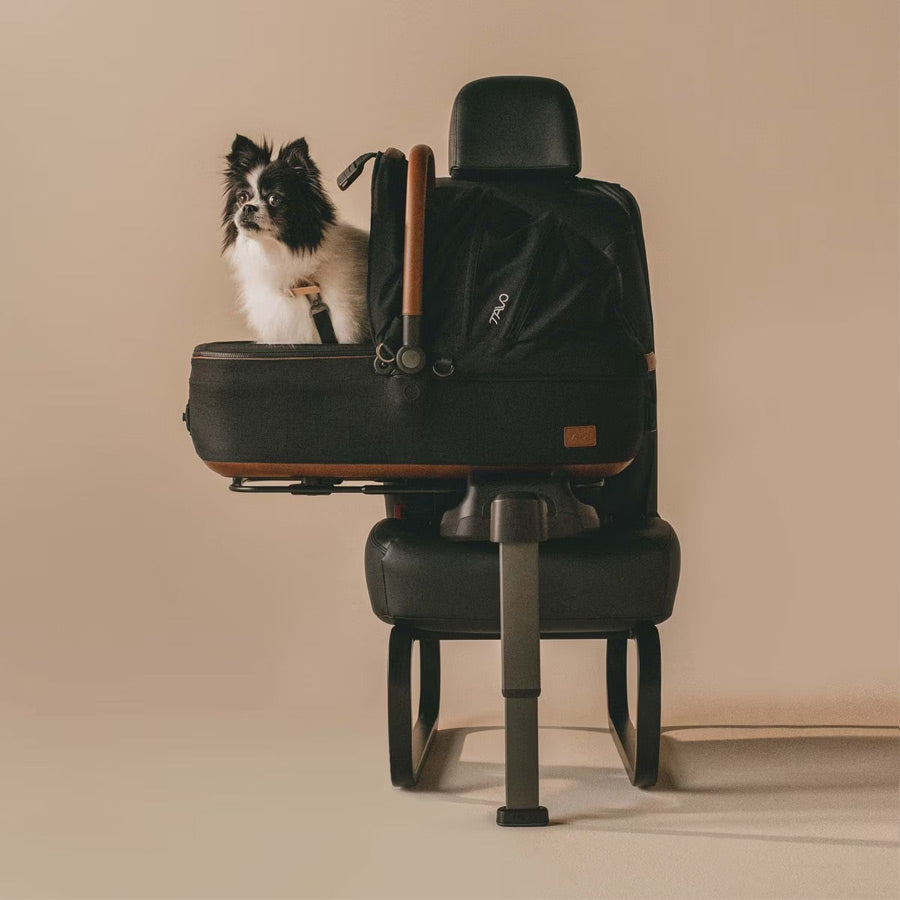 Tavo Maeve medium dog carrier and car seat with a secure leg