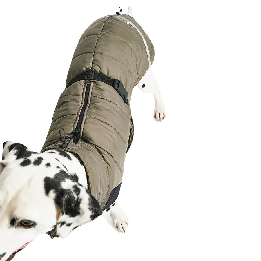 MiaCara cosima waterproof winter dog jacket