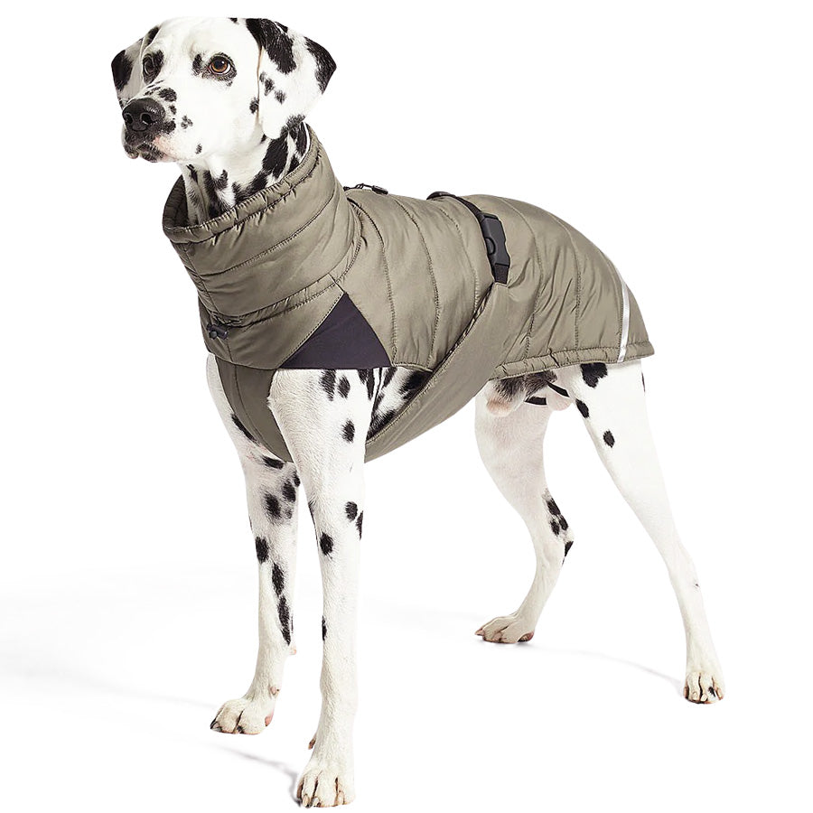 MiaCara cosima waterproof winter dog jacket