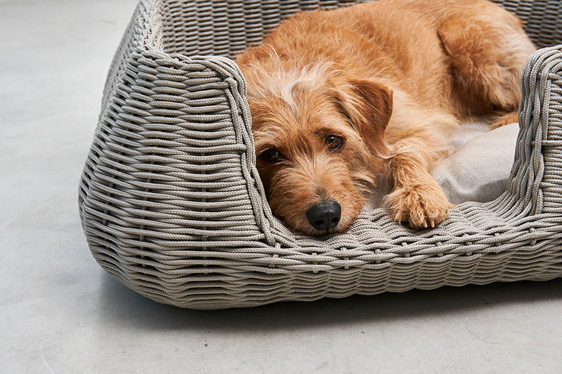 Miacara Mio Rope Indoor & Outdoor Dog Bed