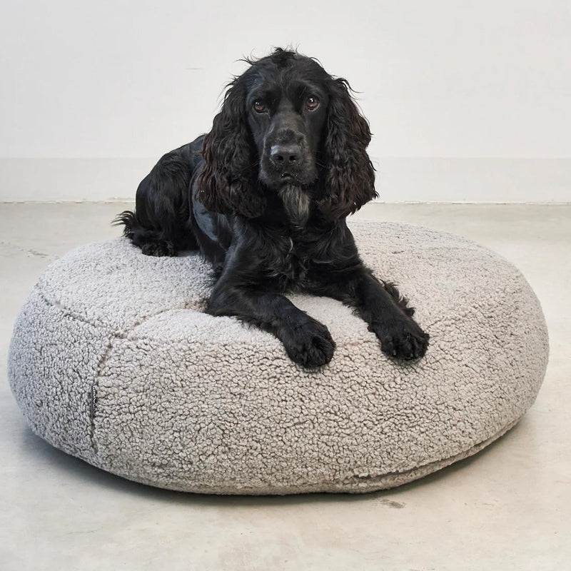 Black cocker spaniel on Senso Mia Cara round dog bed