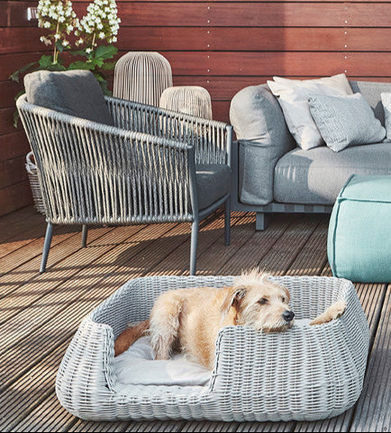 Stylish miacara outdoor dog bed with a small brown puppy inside.