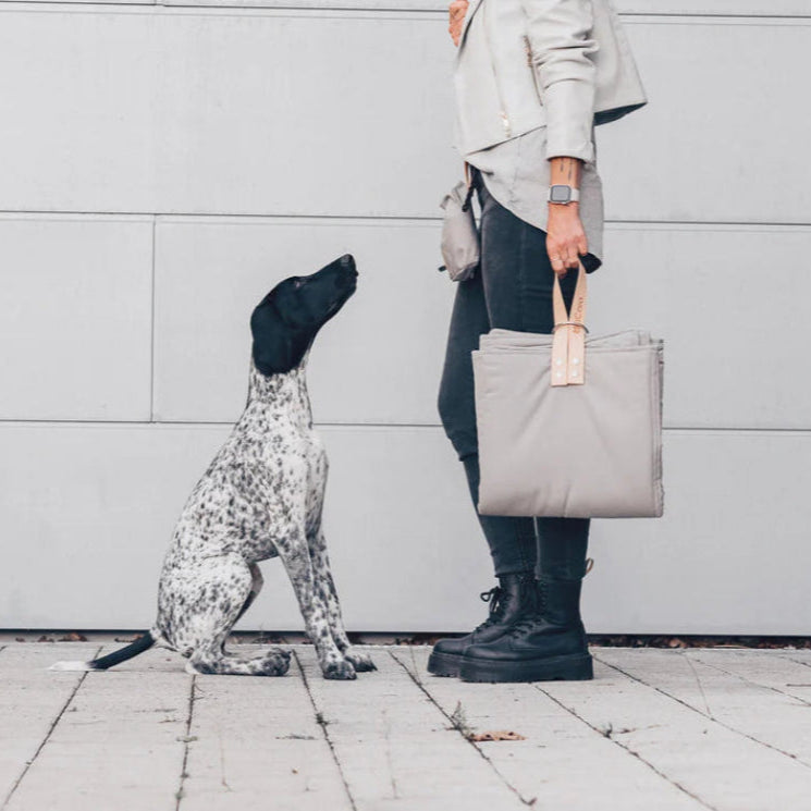 woman holding large size dog travel bed foldable