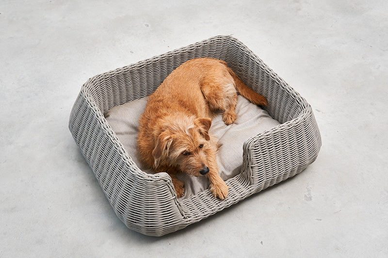 Miacara Mio Rope Indoor & Outdoor Dog Bed