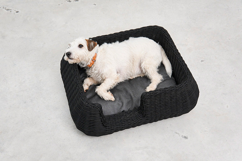 Miacara Mio Rope Indoor & Outdoor Dog Bed