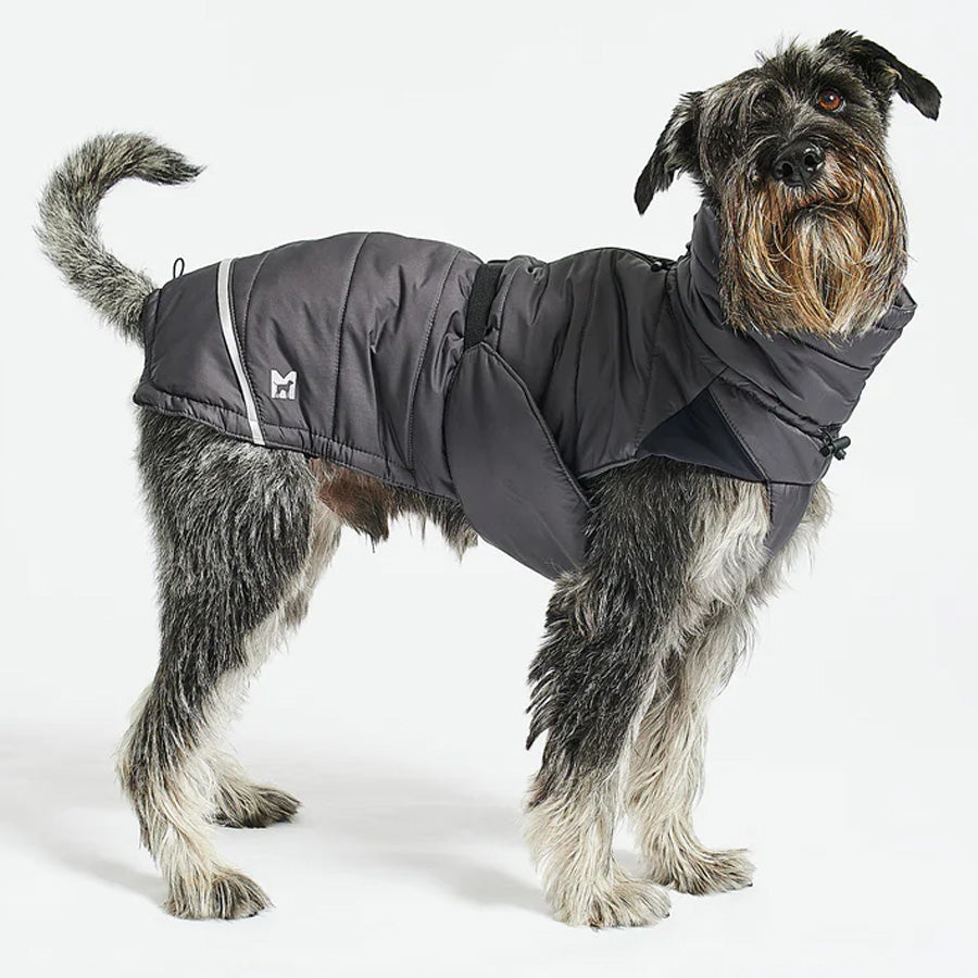 MiaCara cosima waterproof winter dog jacket