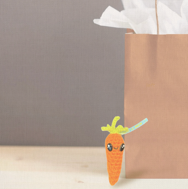 Carrot-shaped cat gift 