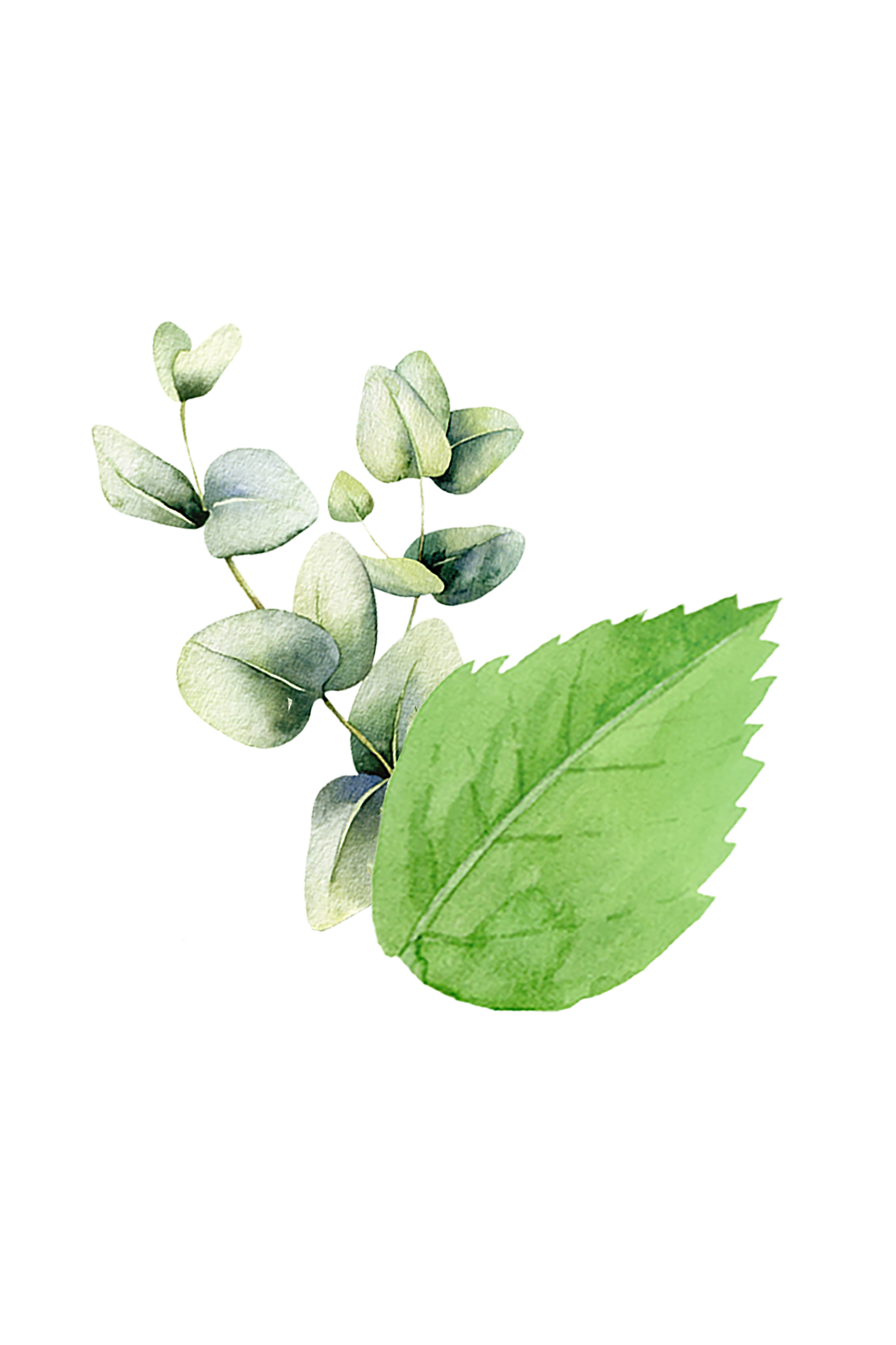 Epsom Salt Soak | Mint & Eucalyptus