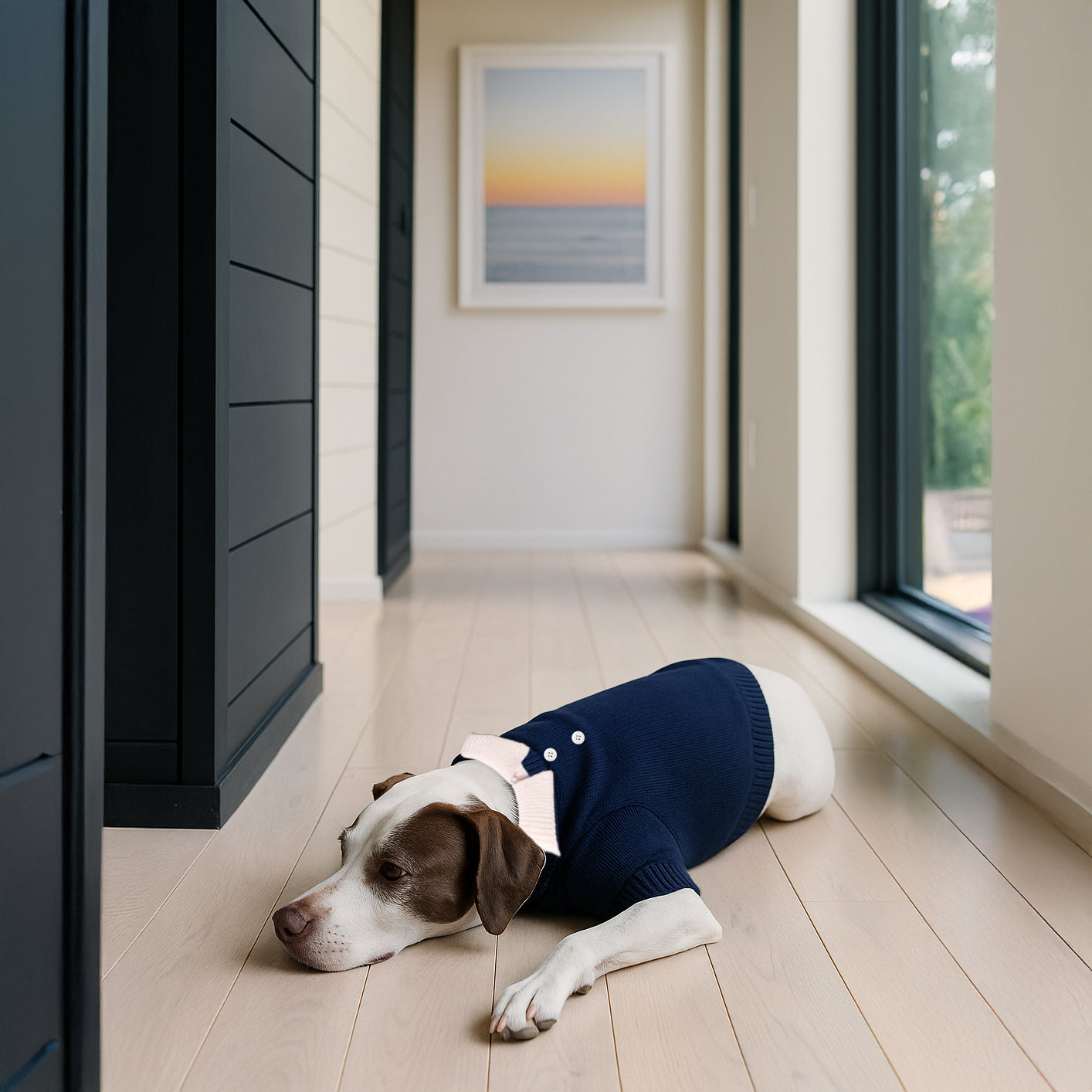 Nooee Small Polo Wool Sweater For Cats & Dogs | 100% Wool Knit