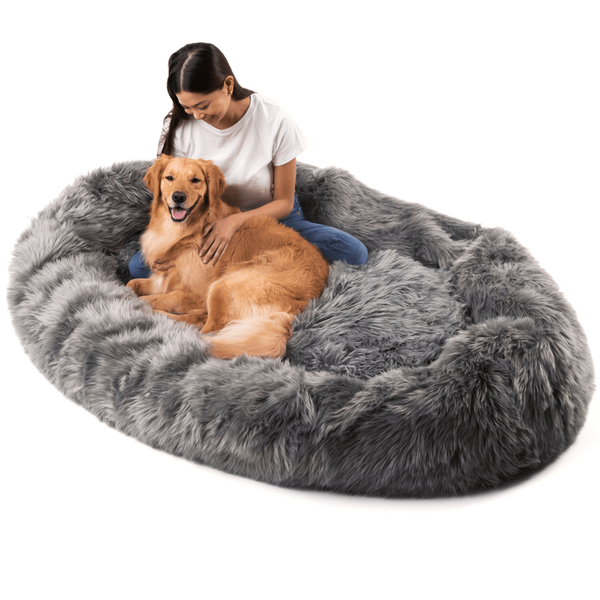 Girl with her golden retriever on extra large human size dog bed