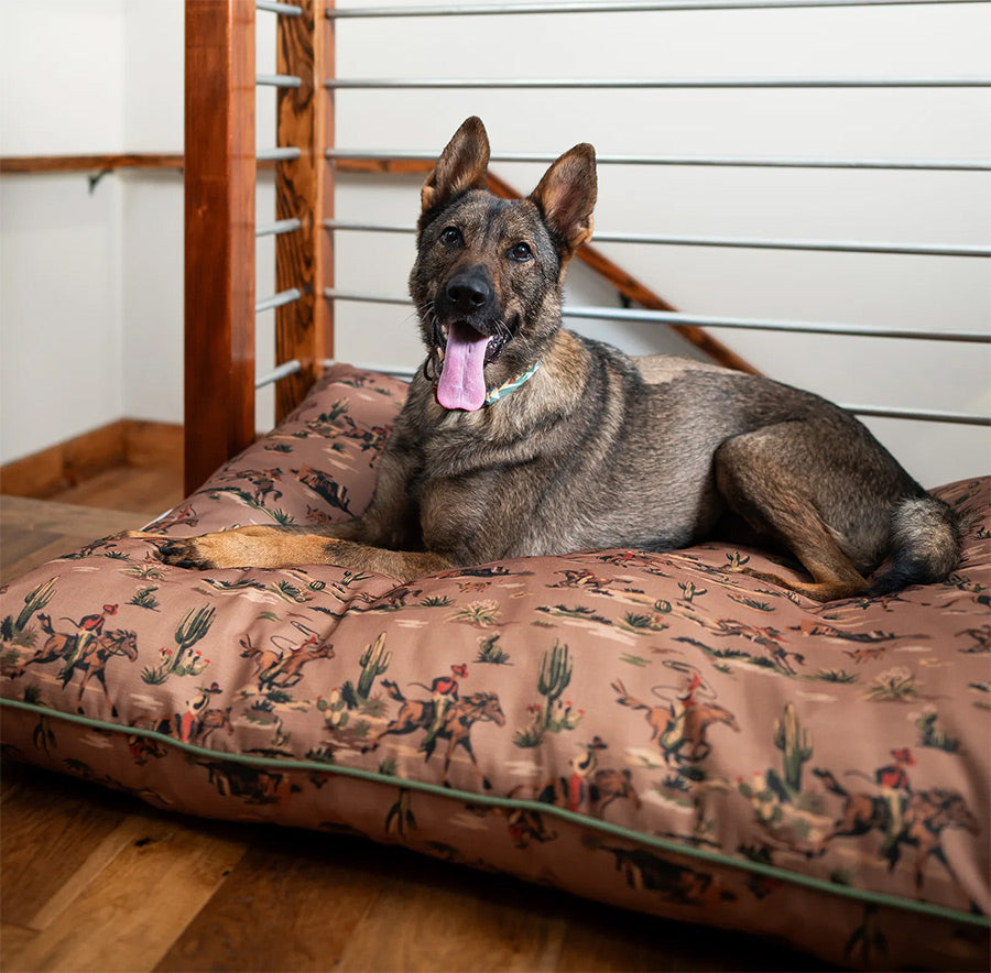 Pendleton All Season Pet Napper