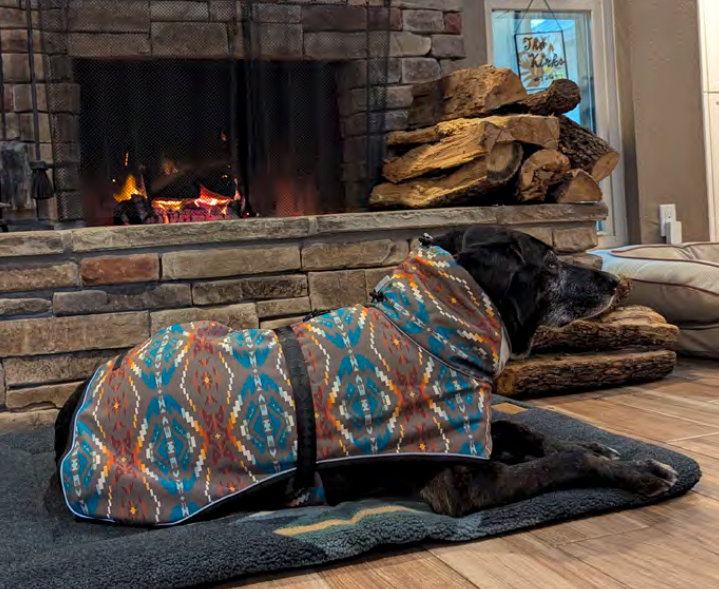 Large dog wearing a colorful Pendleton rain coat in front of a fireplace