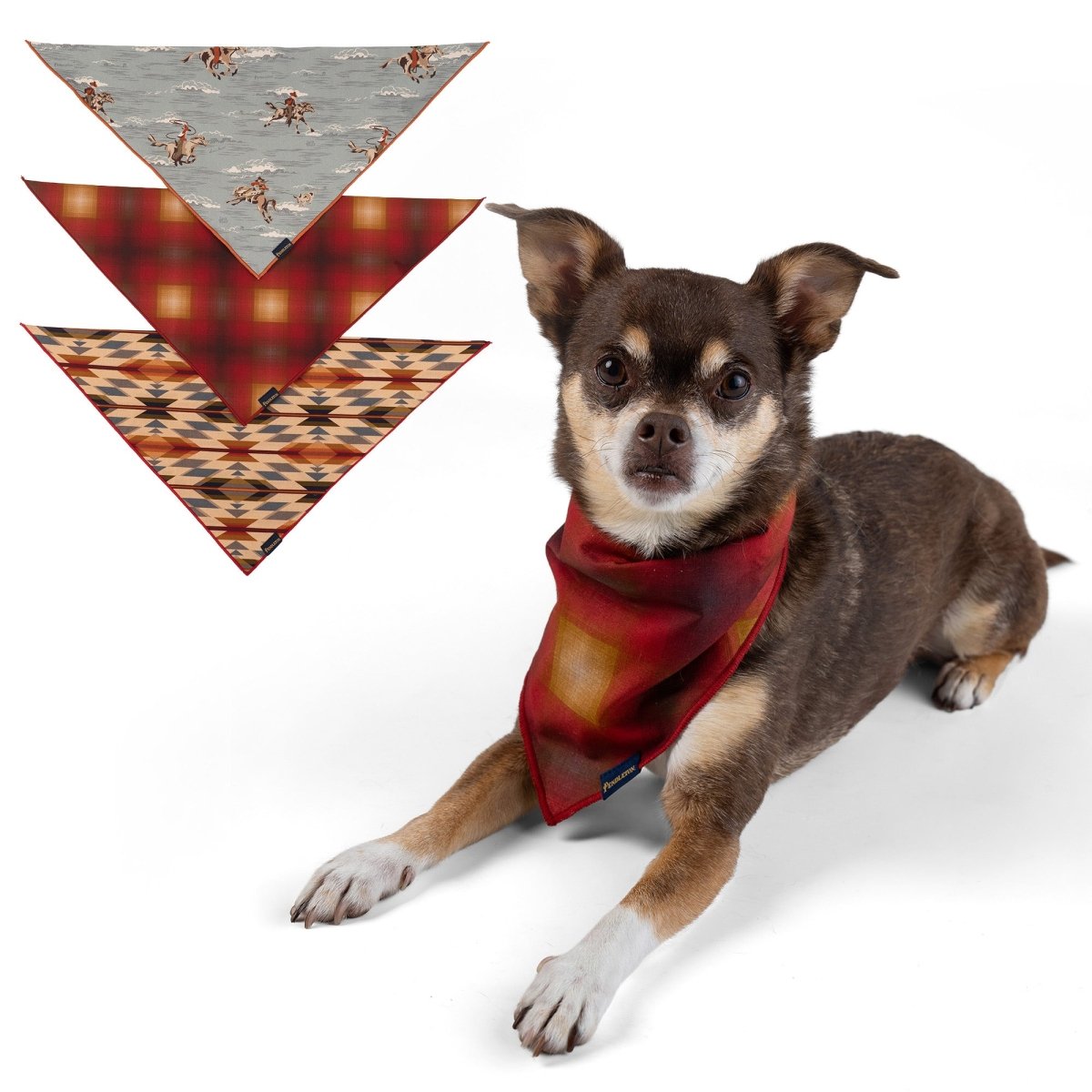 Pendleton Dog Bandanas – 3-Pack