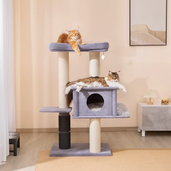 Large cat tree with two cats on a light-colored floor and wall background