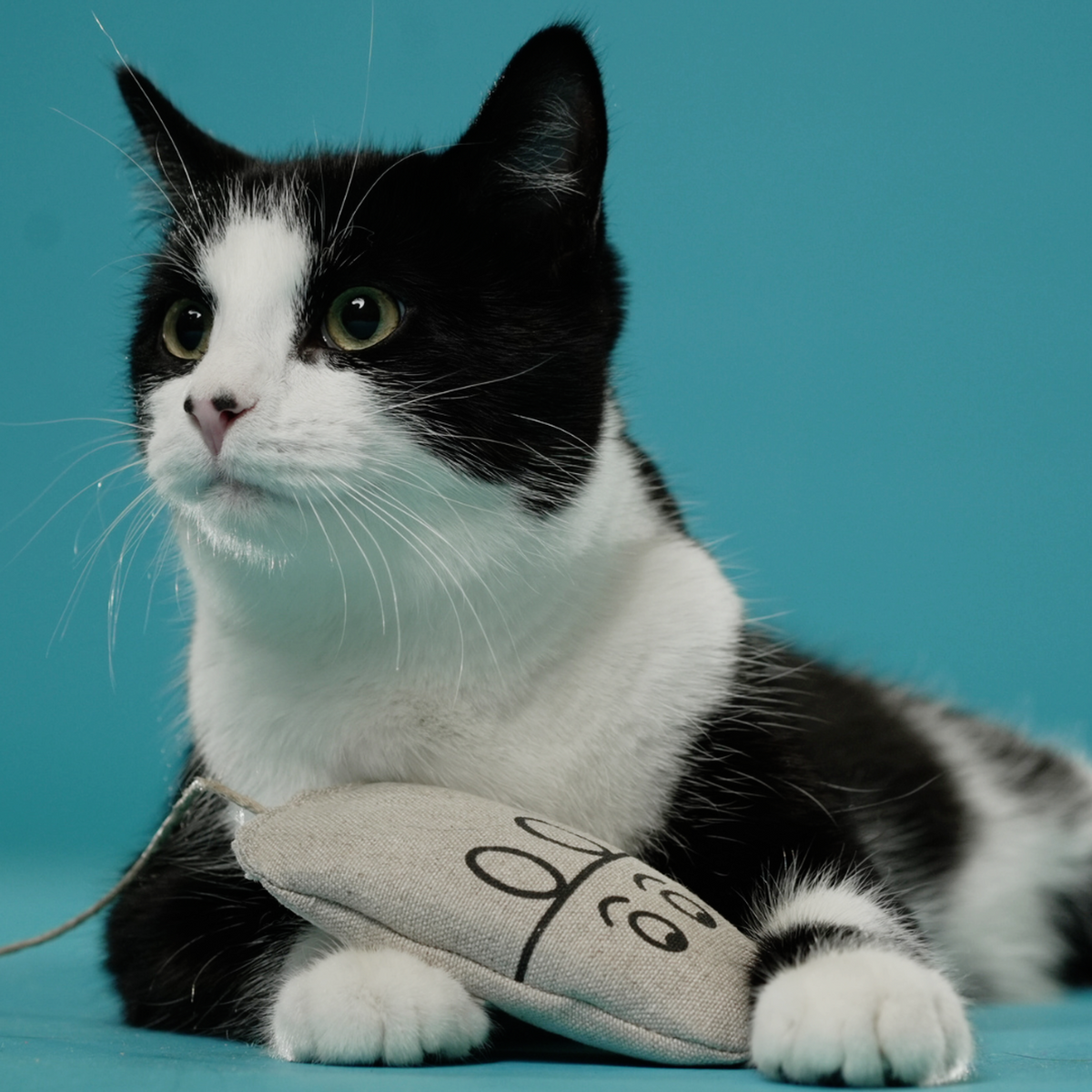 Natural Hemp Mouse Cat Toy | Non-Toxic | Eco-Mouser
