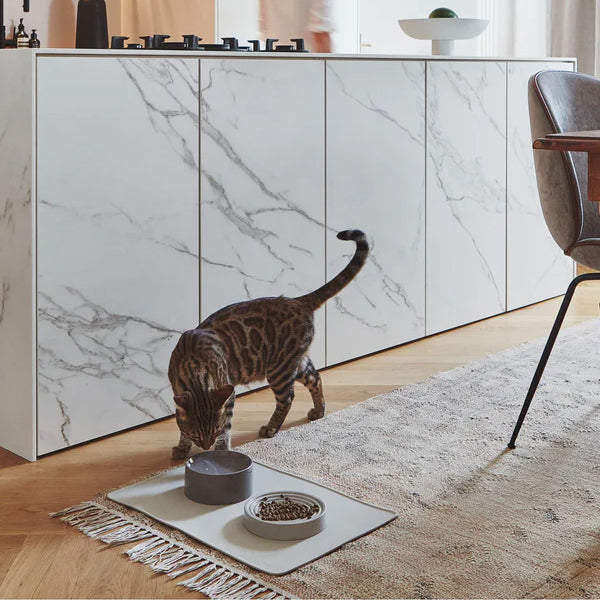 Cat drinking water from Miacara porcelain bowl