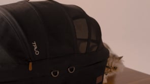 Tavo luxury cat carrier