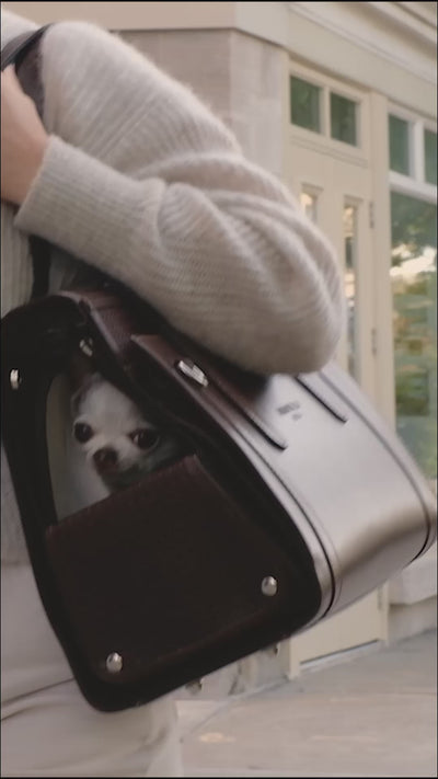 Luxury leather dog carrier handbag