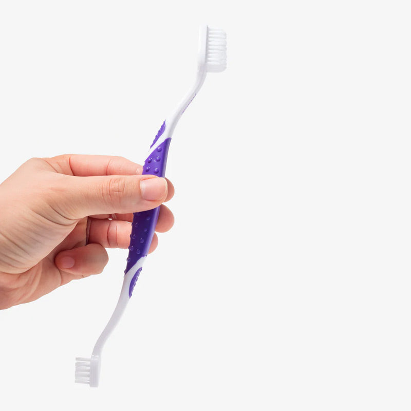 Hand holding a purple and white pet toothbrush against a white background