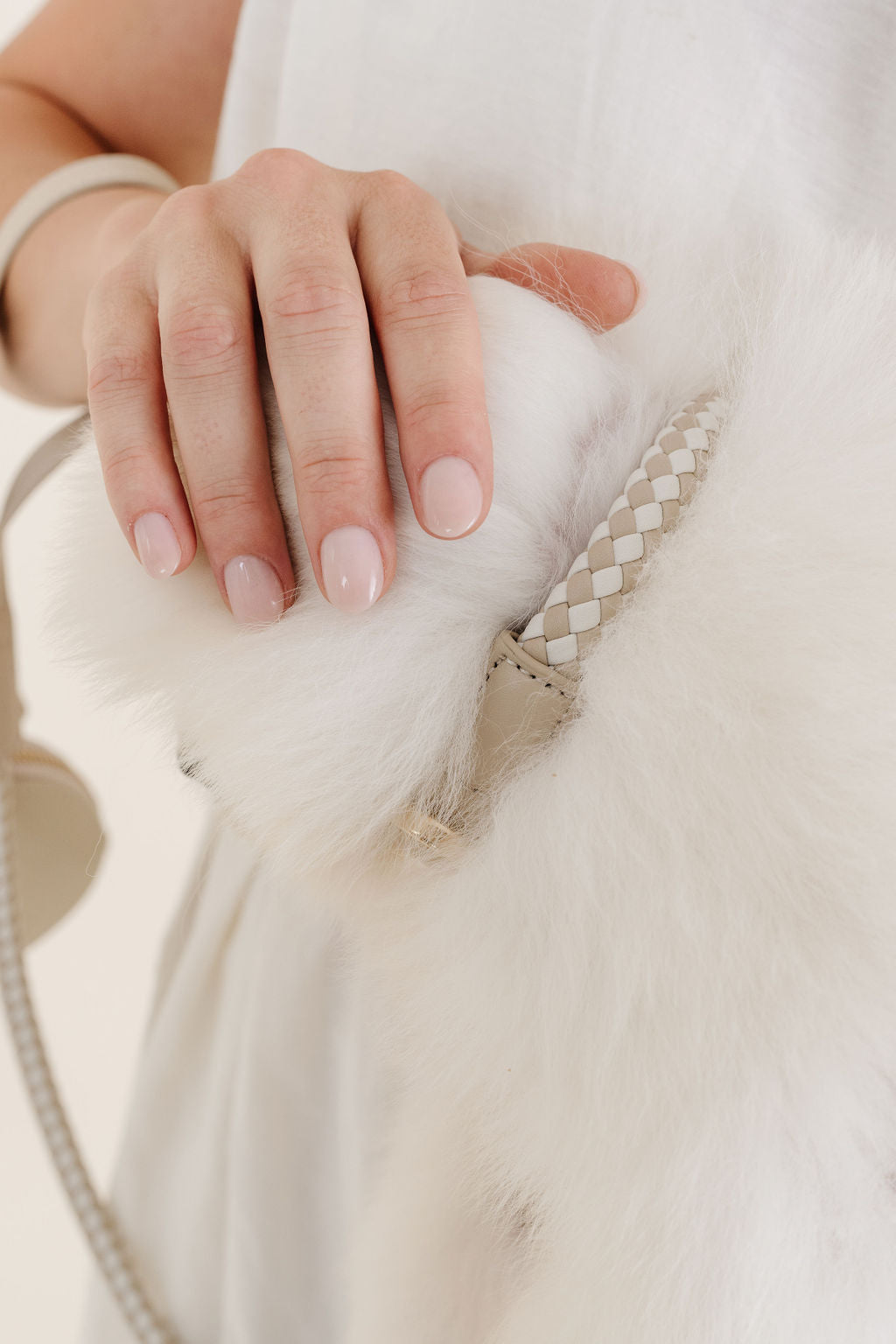 Luxury Braided Rolled Dog Collar Beige