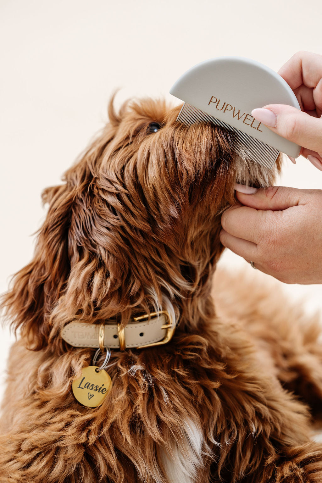 Dog Parent Essentials