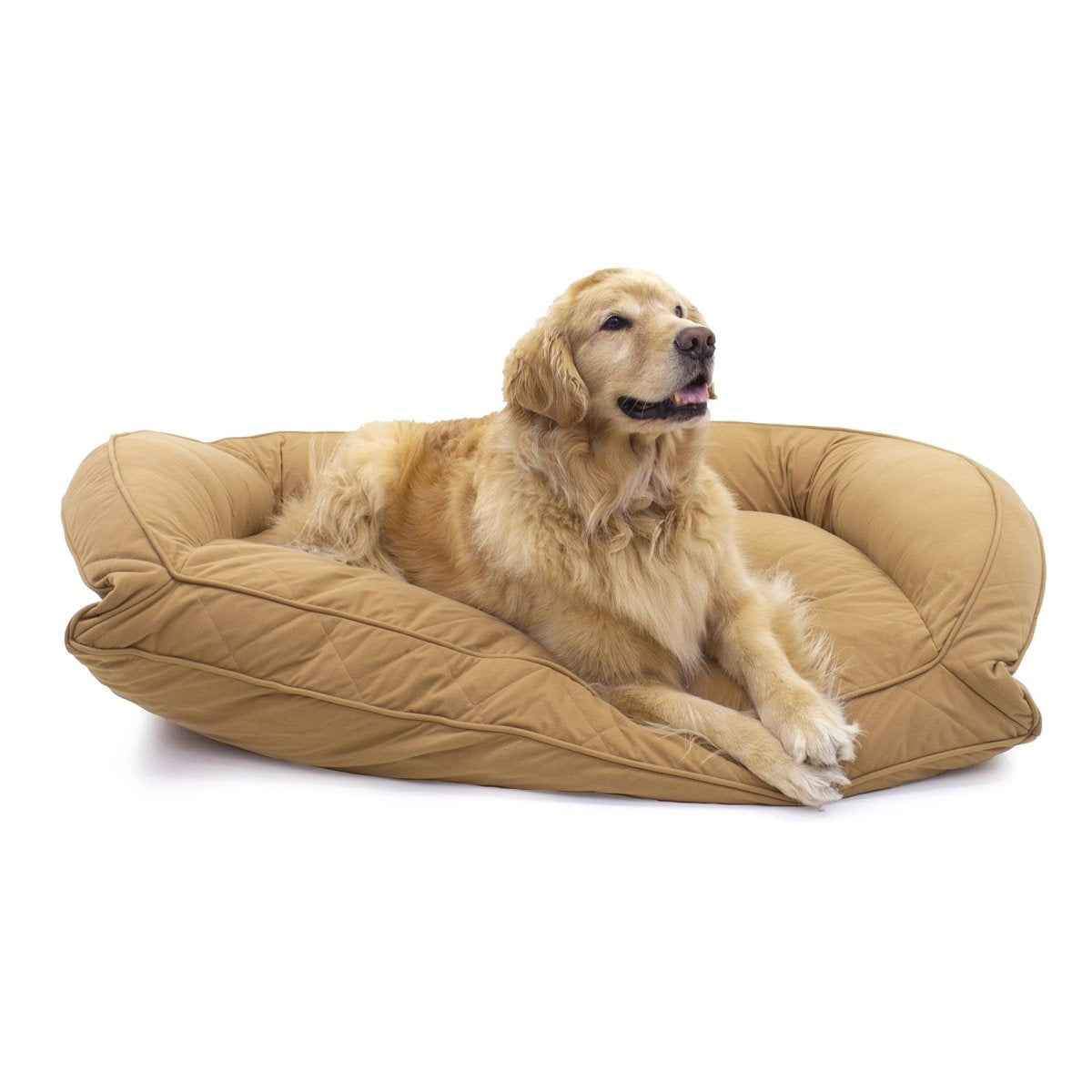 Golden Retriever dog lying on a large beige dog bed