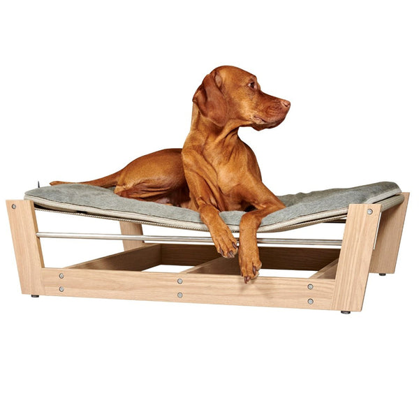 Bowsers pet lounger raised dog bed with mat