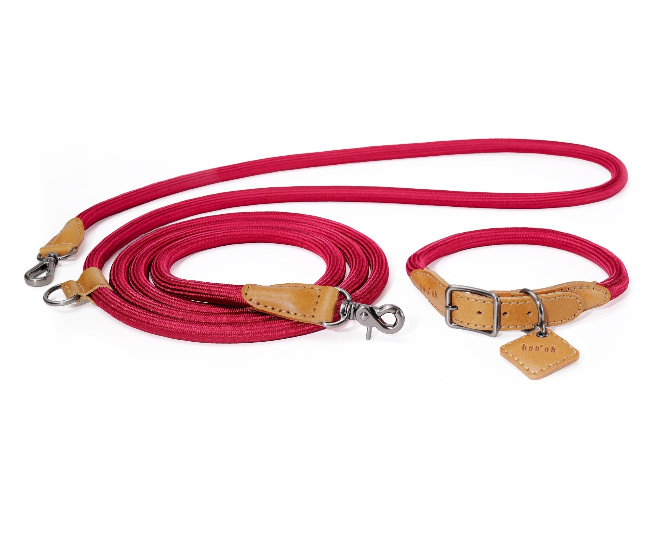 Hands-Free Dog Leash And Collar Set | Ray