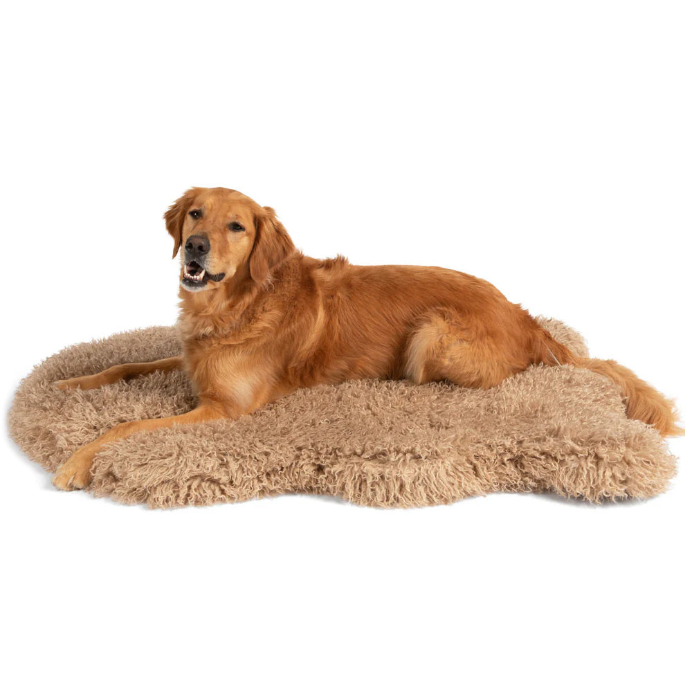Golden retriever lying on a fluffy beige extra large dog bed in rug style against a white background
