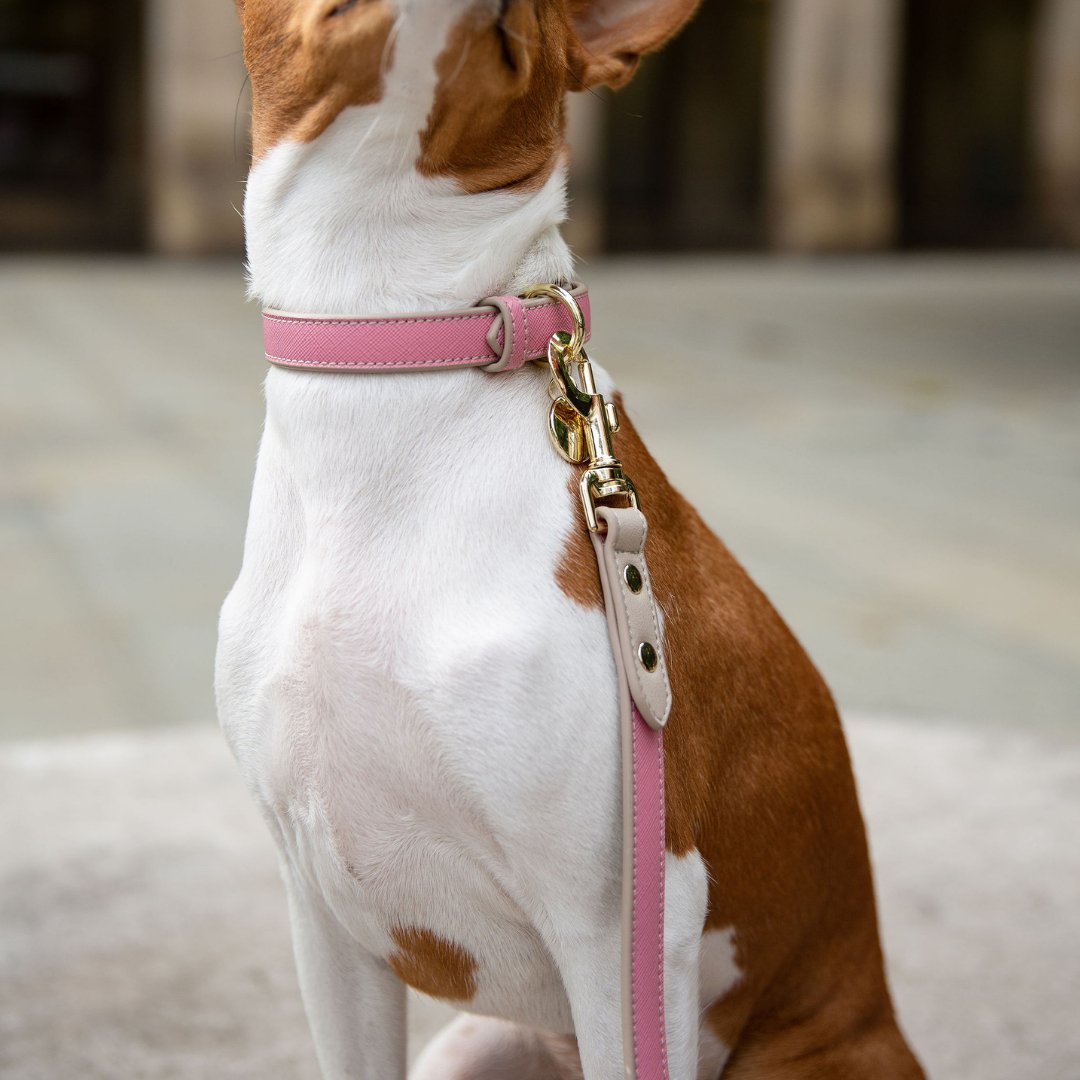 Dog Leash 4ft - Vegan Leather - Pink Rio